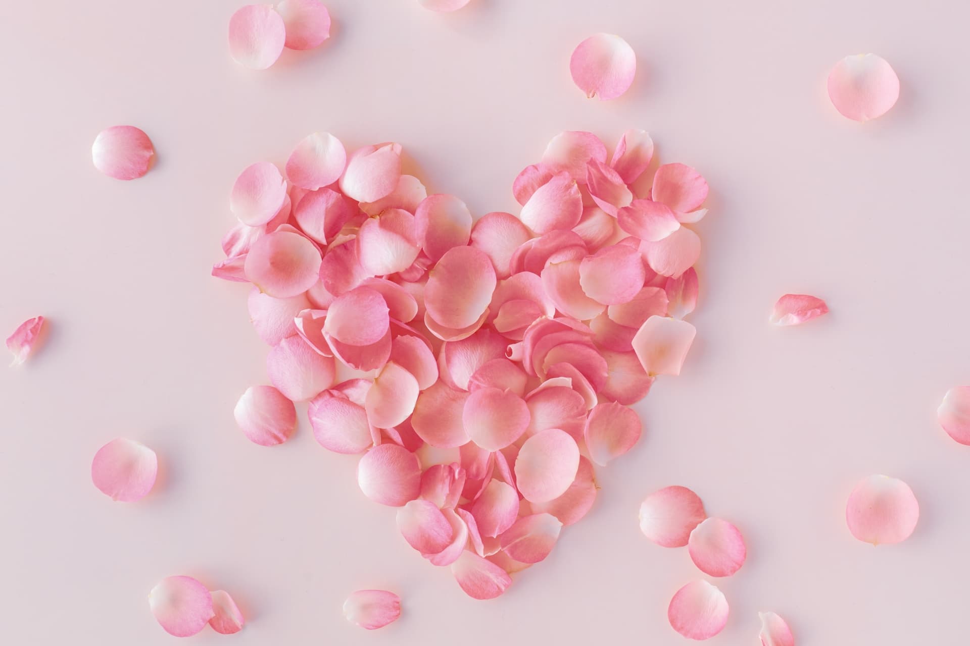 薔薇の花びらのハート